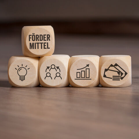 Würfel auf einem Holztisch. Die Würfel haben einen Aufdruck mit verschiedenen Symbolen, auf dem oberen Würfel steht "Fördermittel".